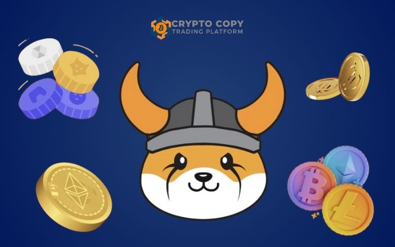 nft based meme coins