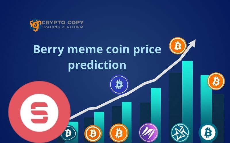 berry meme coin price prediction