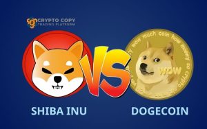dogecoin vs shiba Inu 2025