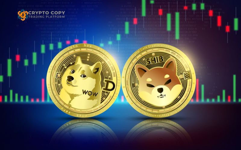 dogecoin vs shiba Inu 2025