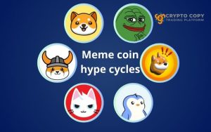 meme coin hype cycles