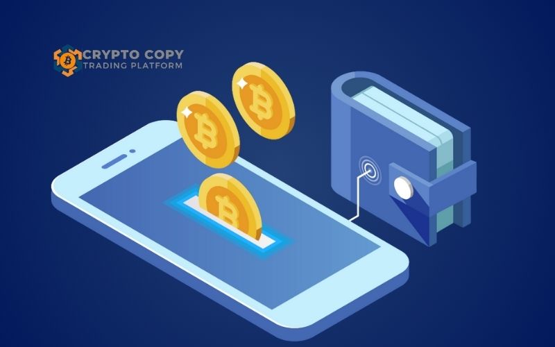 meme coins vs utility tokens
