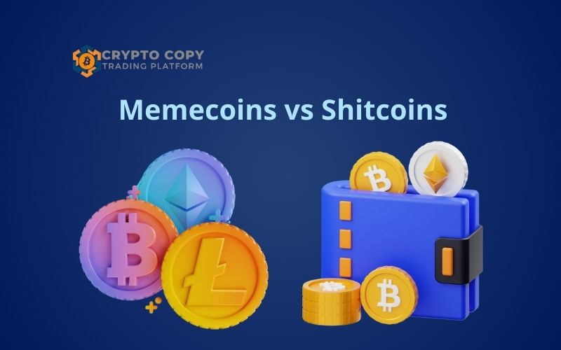 memecoins vs shitcoins tapswap