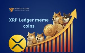 xrp ledger meme coins